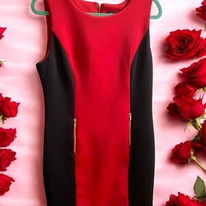 DKNY: Chic Black and Red Dress with Gold Zipper
Size: 14 Women
#N055